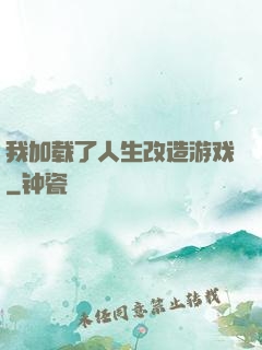 我加载了人生改造游戏