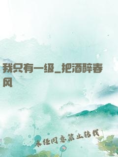 我只有一级