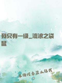 我只有一级