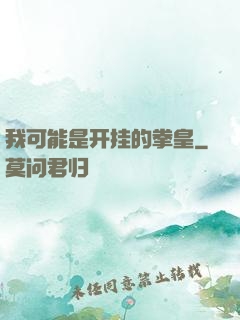 我可能是开挂的拳皇