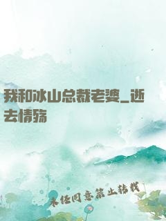 我和冰山总裁老婆