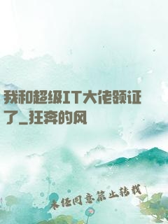 我和超级IT大佬领证了