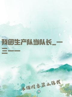 我回生产队当队长