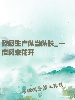 我回生产队当队长