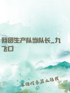 我回生产队当队长