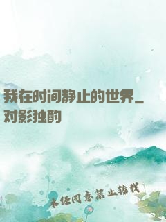我在时间静止的世界