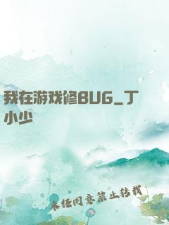 我在游戏修BUG