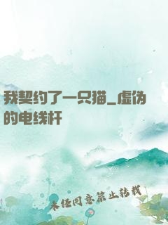 我契约了一只猫