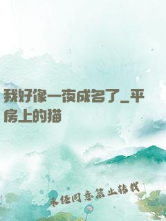 我好像一夜成名了