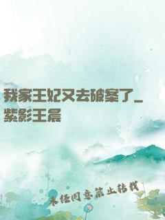 我家王妃又去破案了