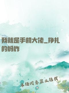 我就是手机大佬