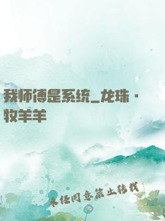我师傅是系统