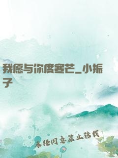 我愿与你度寒芒