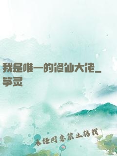 我是唯一的修仙大佬