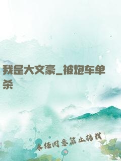 我是大文豪