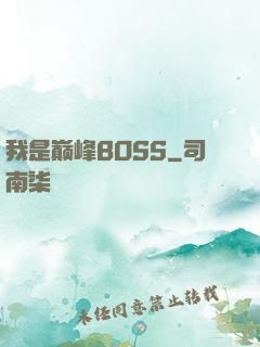 我是巅峰BOSS