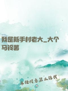 我是新手村老大