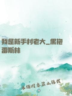 我是新手村老大