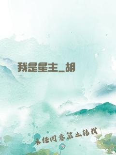 我是星主