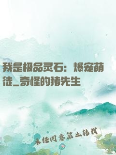 我是极品灵石：爆宠萌徒