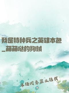 我是特种兵之英雄本色