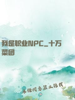 我是职业NPC