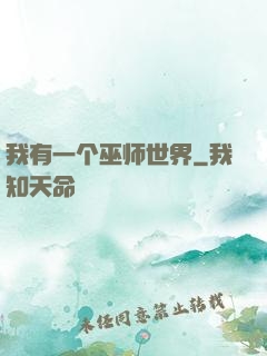 我有一个巫师世界