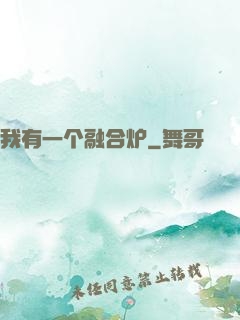 我有一个融合炉