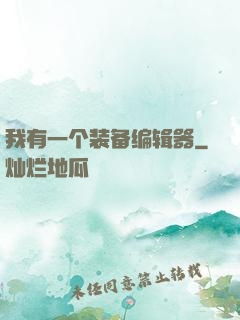 我有一个装备编辑器