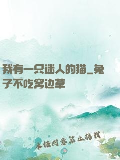 我有一只迷人的猫
