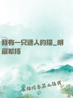 我有一只迷人的猫