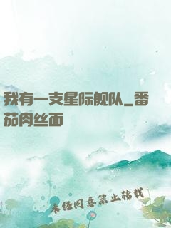我有一支星际舰队