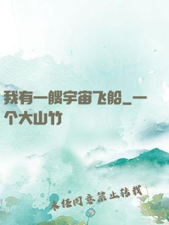 我有一艘宇宙飞船