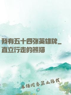 我有五十四张英雄牌
