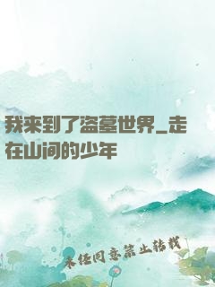 我来到了盗墓世界