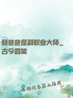 我爸爸是副职业大师