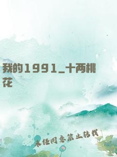 我的1991
