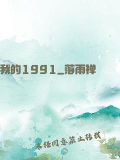 我的1991
