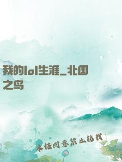 我的lol生涯