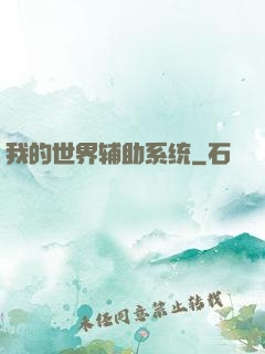 我的世界辅助系统