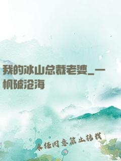 我的冰山总裁老婆