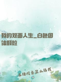 我的双面人生