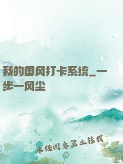 我的国风打卡系统