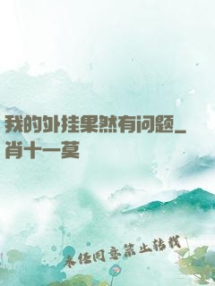我的外挂果然有问题