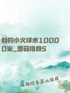 我的小火球术10000米