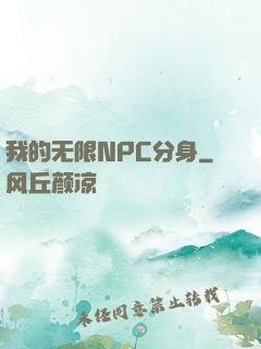 我的无限NPC分身