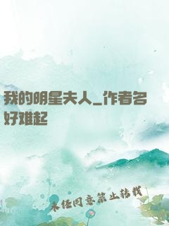 我的明星夫人