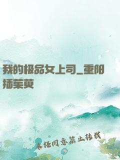 我的极品女上司
