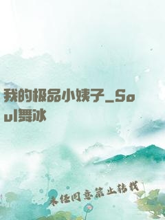 我的极品小姨子