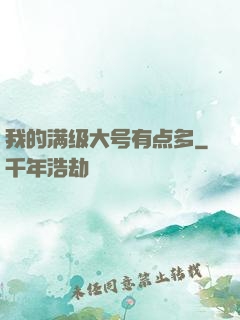我的满级大号有点多
